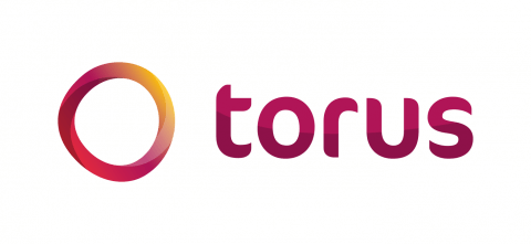 Torus